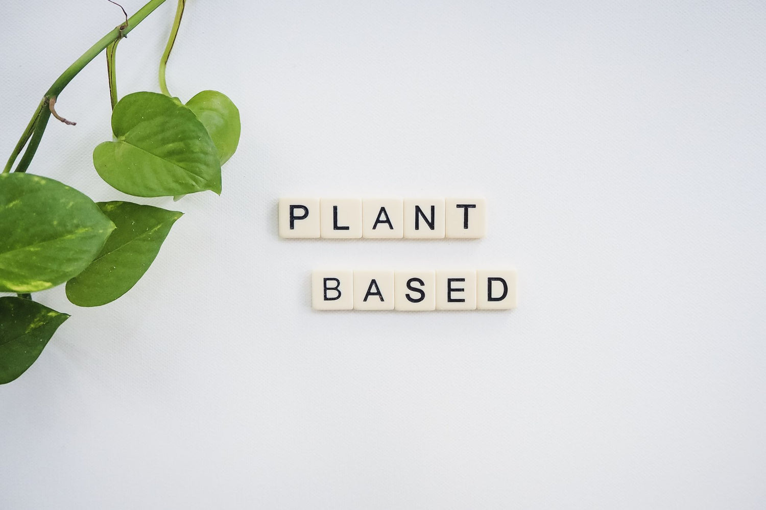 Plant Based vegan